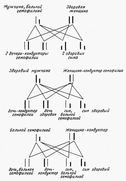 Комбинации хромосом при гемофилии (Delattre, 1972)