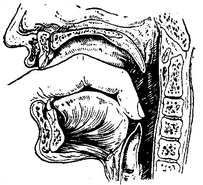 Оттягивание надгортанника пальцем к корню языка
