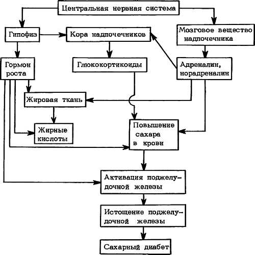 Механизмы развития сахарного диабета при стрессе (схема)