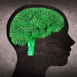 Энцефалопатия головного мозга у пожилых: лечение