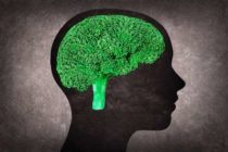 Энцефалопатия головного мозга у пожилых: лечение